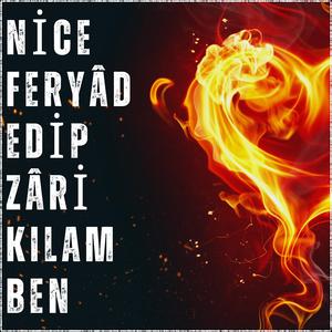 Nice Feryad Edip (instrumental ilahi)
