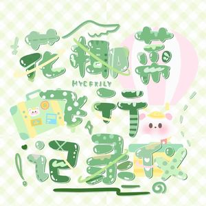 花椰菜飞行记录仪