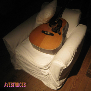 Avestruces