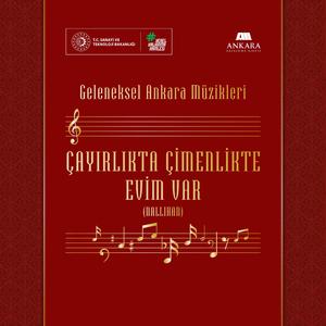 Çayırlıkta Çimenlikte Evim Var (Nallıhan)