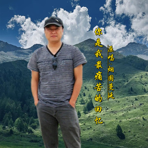 你是我最痛的回忆DJ