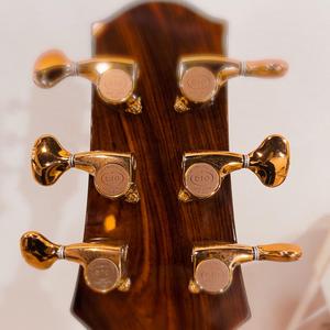 愿桜/愿望的樱花（cover Gin）