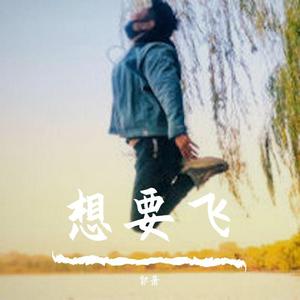 想要飞