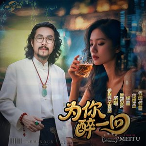 为你醉一回