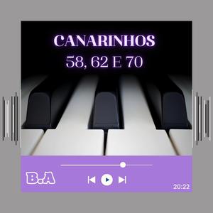 Canarinhos 58 ,62 E 70