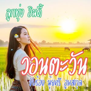 วอนตะวัน (ลูกทุ่ง อินดี้)