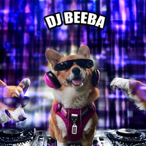 Leela the Superstar (feat. DJ Beeba)