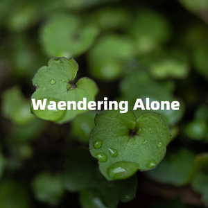 Waendering Alone