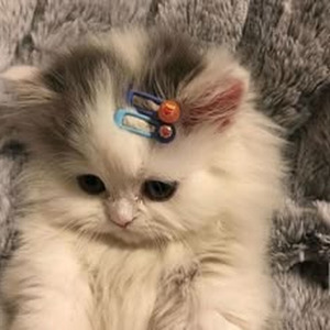 Pull up Late (sped up)