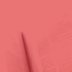 一尘不染正在读书印象数