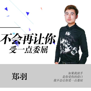 不会再让你受一点委屈