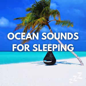 Real Recording of Ocean Waves (Loop, No Fade)