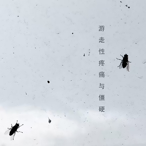 游走性疼痛与僵硬.WAV