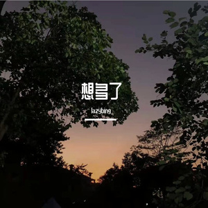 想多了(Prod.Shuk)