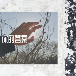 你的答案