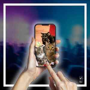 lemmetellyaboutmycat