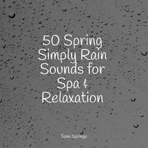 Relaxing Storm (Rain and Thunder)