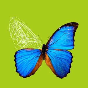 I'm Okay With It (Demo)