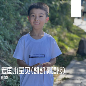 爱国小宝贝（凯凯演唱版）