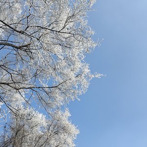 如果爱是一道选择题 那你永远是首选