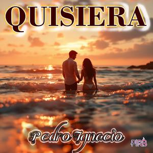 Quisiera