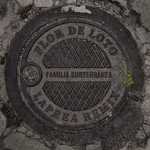 Flor de Loto (Remix)