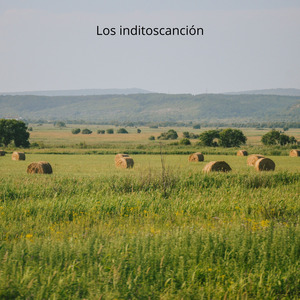 Los inditoscanción