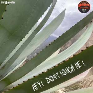 你晓得我晓得他晓得