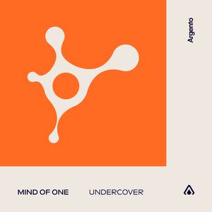 Undercover (Extended Mix)