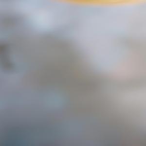 trotventurs1 bobb1ings