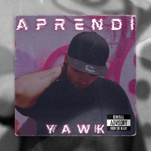 Aprendí