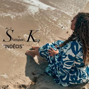 INDECIS