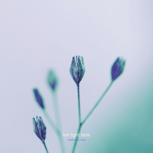 Ink light fade