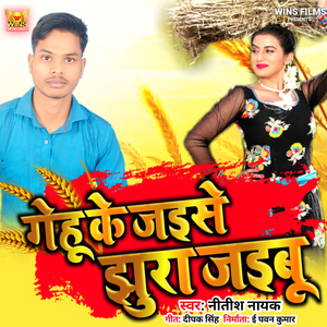 Gehu Ke Jaise Jhura Jaibu - Nitish Nayak I WINS FILMS (Bhojpuri Chaita Song)