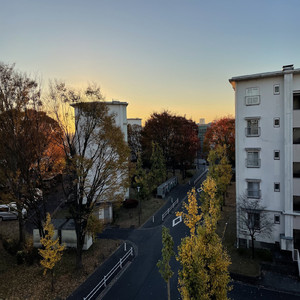 朝の挨拶