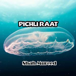 Pichli Raat