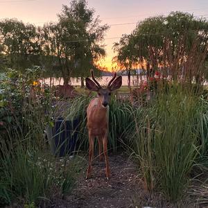 Vast Spaces Without Reprieve, Pt. 2