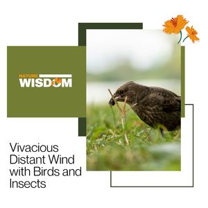 Happy Me in Steady Campfire