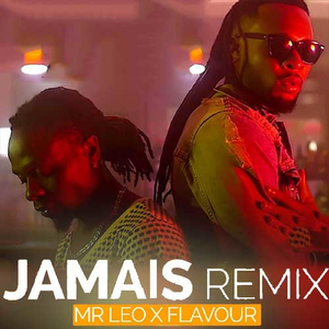 Jamais Jamais Remix (feat. Flavour)
