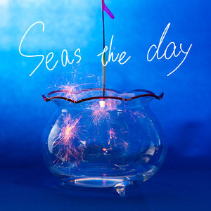 Seas the day