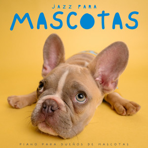 Jazz De Cachorritos