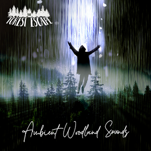 Raincloud Roots Harmony