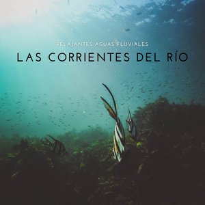 Bajo El Rio Para Orar