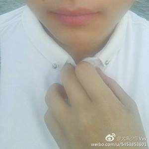 与归（翻自 南风ZJN）