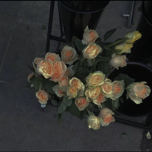 我在你身后（Cover：李飘飘）