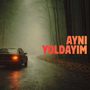 Aynı Yoldayım