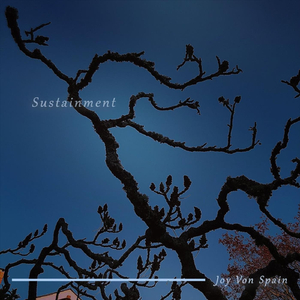 A Candle in the Distance