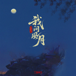 我问风月（DJ版）