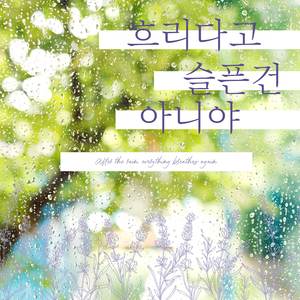 비오는 날의 멜로디