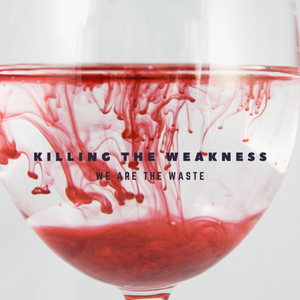 Future Without Fate (Instrumental Version)